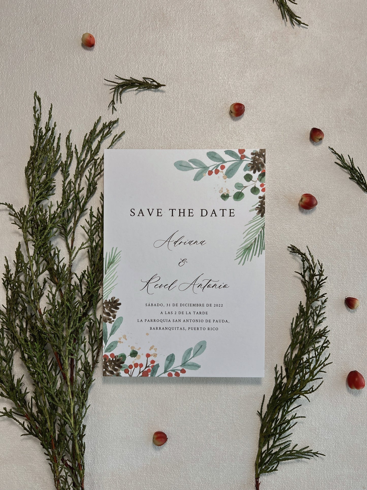 Digital Save-the-Date | Adriana